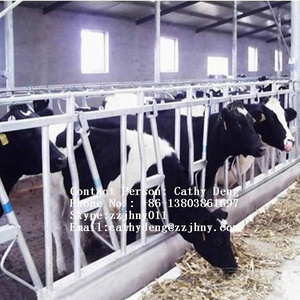 automatic cattle cow headlocks on panels