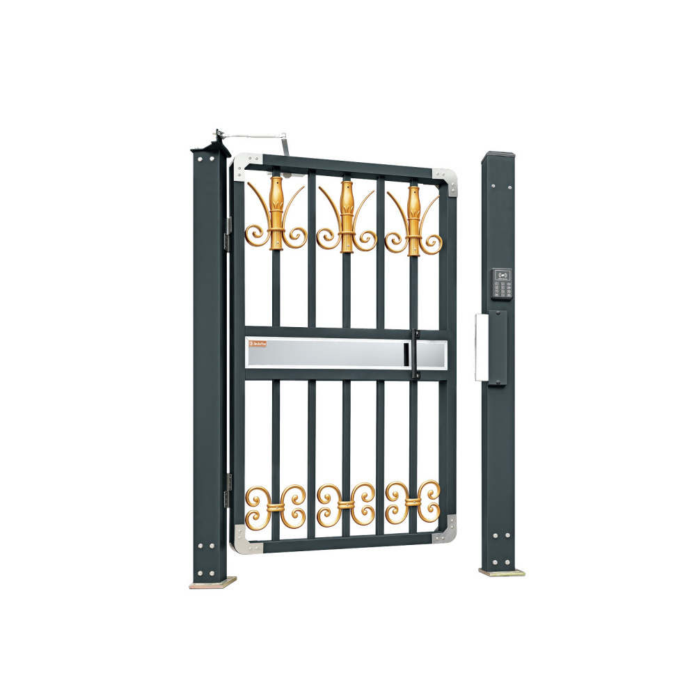 Cheap and Practical Electric Entry Door Aluminum Swing Opening Barrier Gate