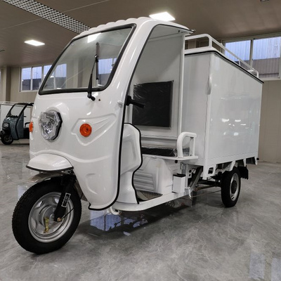 Express Vehicle Cargo Tricycle 800KG Loading Electric 3 Wheel Electric Tricycle Cargo Tricycle for Express