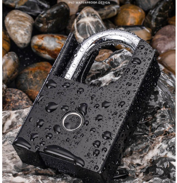 Popular TTL Padlock 100 fingers APP control Fingerprint Padlock Bluetooth Biometric Lock for doors