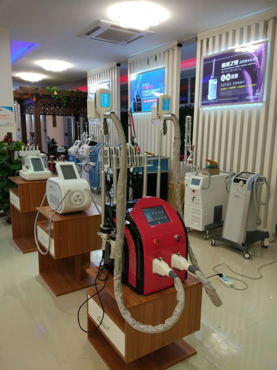 2020  Best Portable Dual Criolipolisis Handles Fat Freeze Cryolipolysis Machine