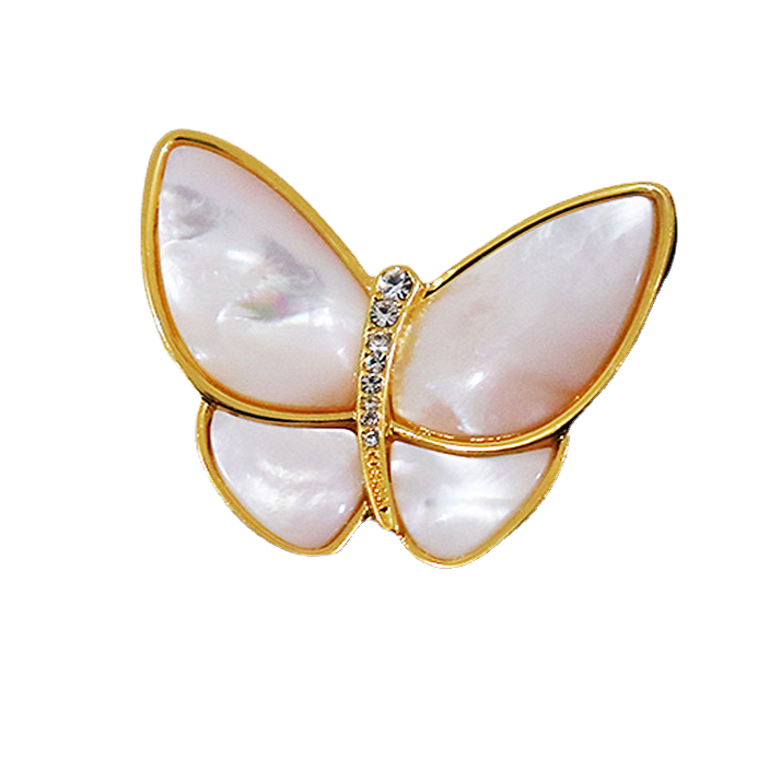 Ins Fashion Brooch Women's All-match High-end Niche Light Luxury Exquisite Elegant Pin Accessories