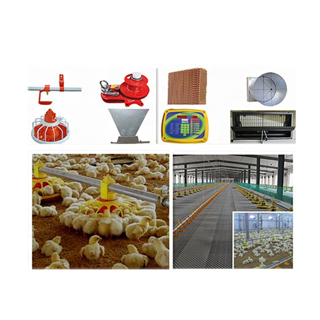 Automatic Poultry Farm Chicken Pan feeder Line Equipment for chicken  raising system