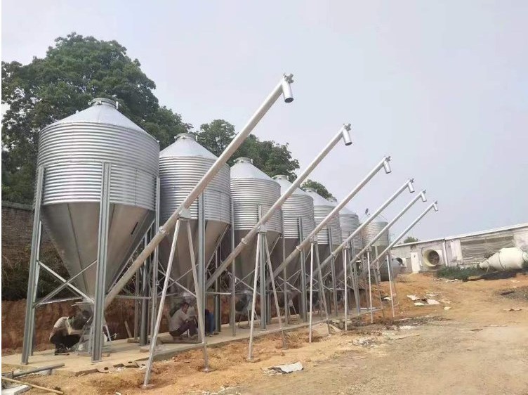 qingzhou jinlong feeding silo for poultry farm