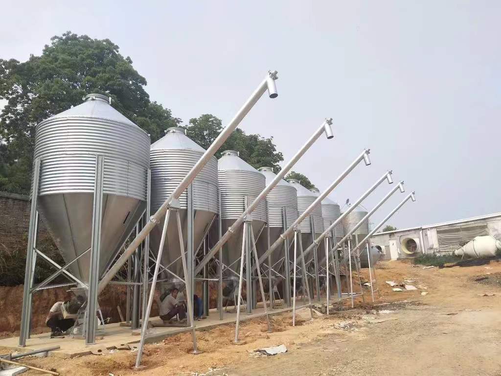 Poultry Farming Feeding System Poultry Feed Silo For Poultry Chicken Farm