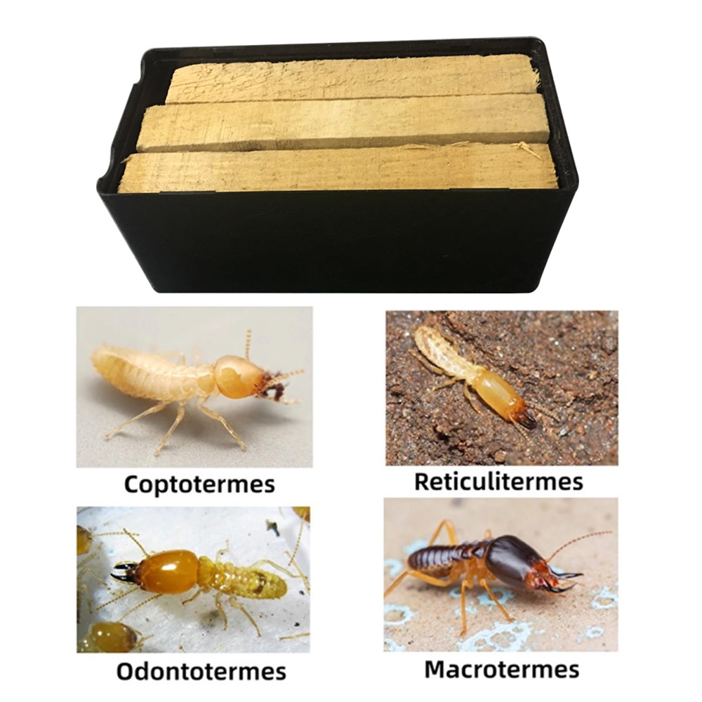 40PCS Termite-Killing Bait Station Termite Monitoring And Attracting Device Indoor Termite Trap Box Without Wooden