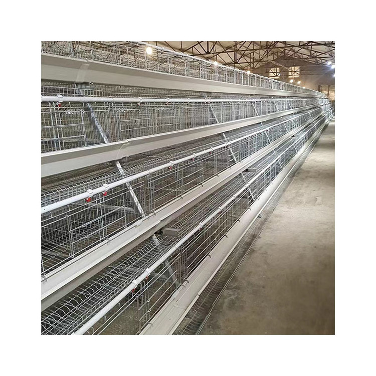 Full Designs Animal Cages Galvanized a Type Chicken Breeding Layer Farming Cage Chicken Farm Poultry Cage Feeding Chicken 5 Sets