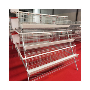 Full Designs Animal Cages Galvanized a Type Chicken Breeding Layer Farming Cage Chicken Farm Poultry Cage Feeding Chicken 5 Sets