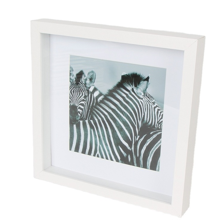 2 Ways Display White Mat Change front or back -Shadow box frames display Case wholesale