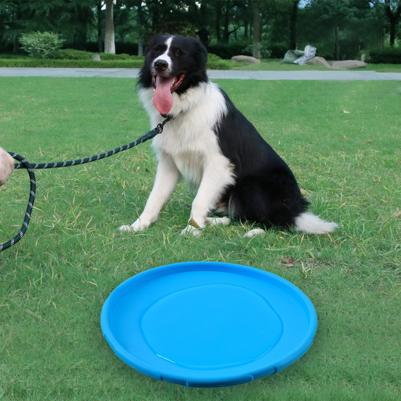 Kinning   Dog Flying Disc Dog Pet Toy Pet Interactive Training Flying Disc Floating Water Bite Resistant Soft Dog Flying Disc