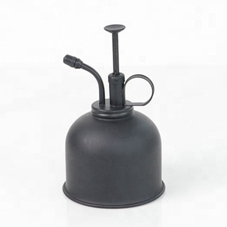 Mini Plant Spray Mister 250ml Watering Pot Stainless steel watering can outdoor Indoor Gardening Plant Sprayer