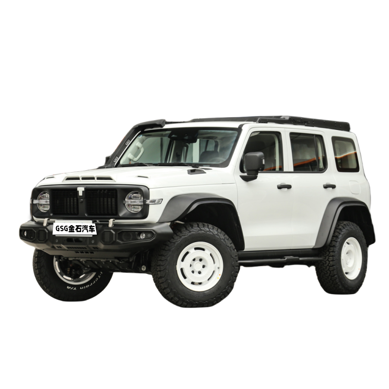 Great Wall Tank 300 2021 Off Road Version Urban Version 2.0T 227Ps 167kW 387Nm 4WD 5 Seats SUV jeep modified