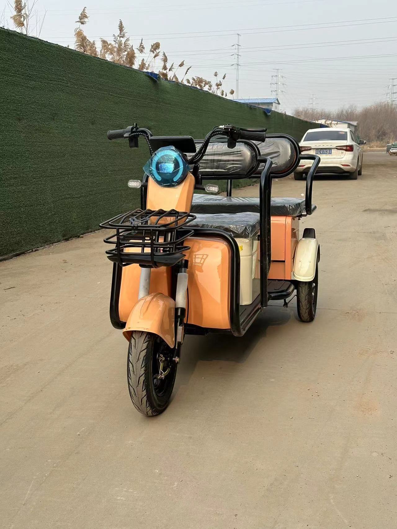 Electric Leisure Tricycle for adults 3 wheel battery powered pedicabs Bajaj