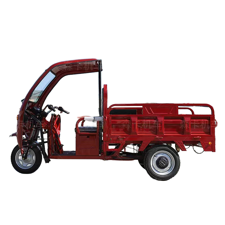 Three Wheel Cargo Electric Vehicle Four Wheel Electric Vehicle Three Electric Tuk Tuk Bajaj