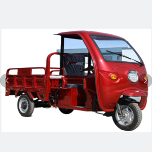 Three Wheel Cargo Electric Vehicle Four Wheel Electric Vehicle Three Electric Tuk Tuk Bajaj