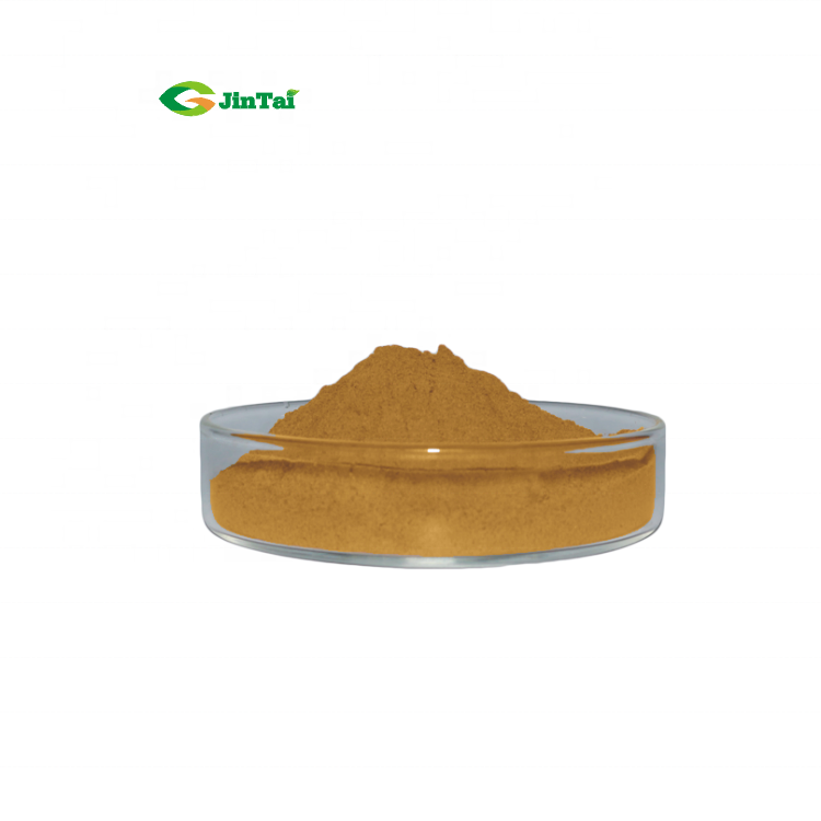 Amla Extract Powder 10:1 Phyllanthus Emblica Extract Yu Gan Zi extract