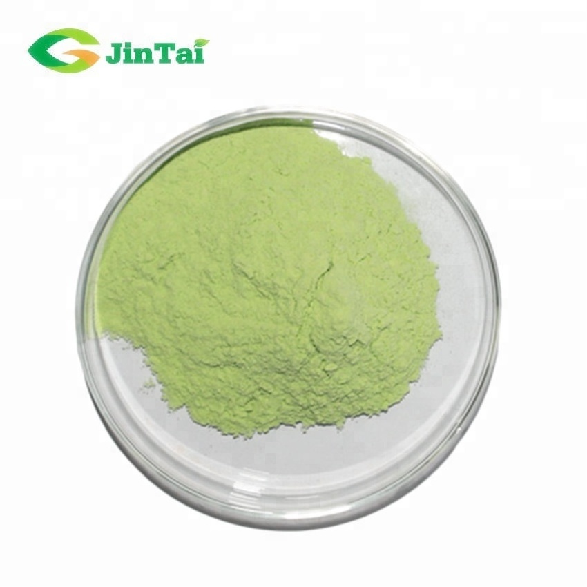 Freeze Dried Cucumber Powder Cucumber extract Cucumber juice powder