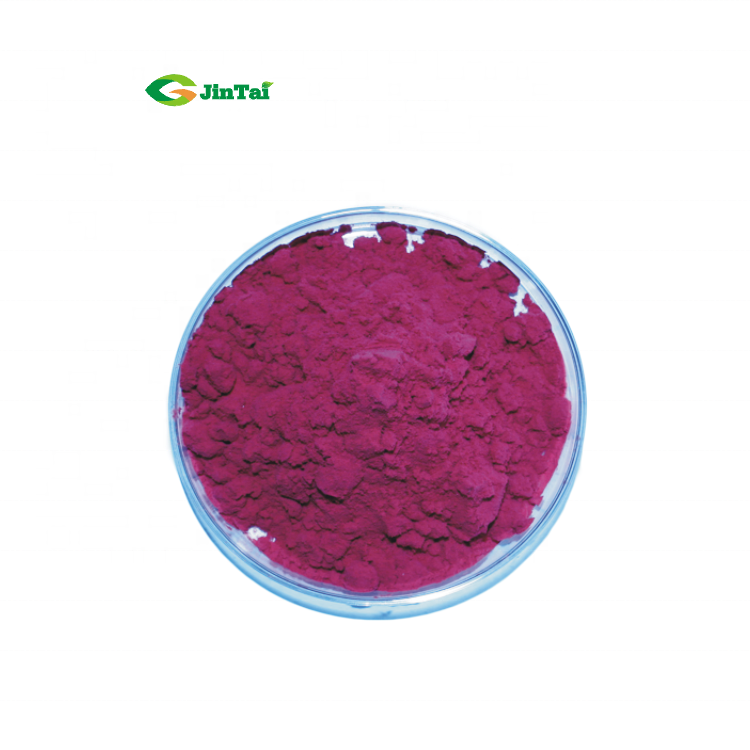 Dried Carrot Powder 10:1/Black Carrot Juice Concentrate Powder/Purple Carrot Powder