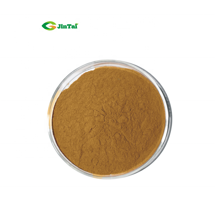 Amla Extract Powder 10:1 Phyllanthus Emblica Extract Yu Gan Zi extract