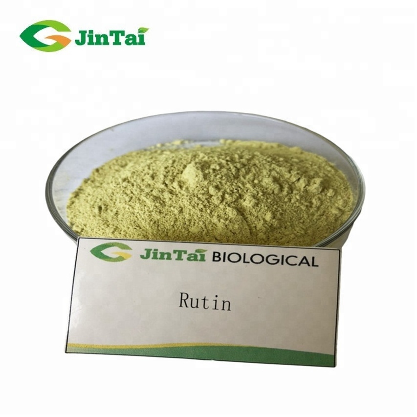 sophora japonica flower seed pod extract powder 98% rutin powder extract rutin nf11 99% sophora japonica extract