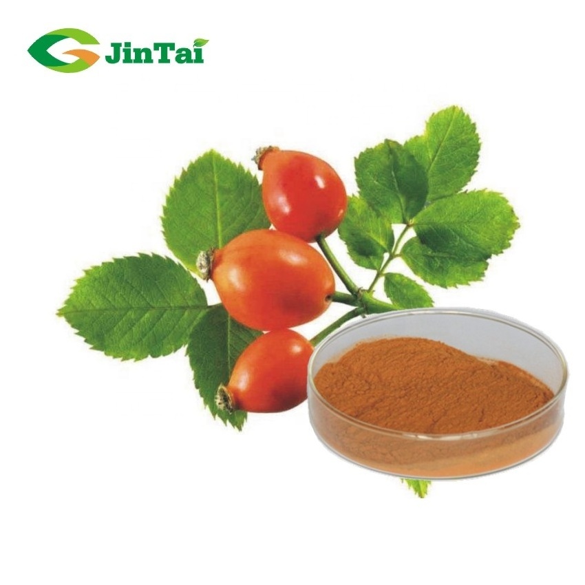 hot sell dried rose hip extract powder