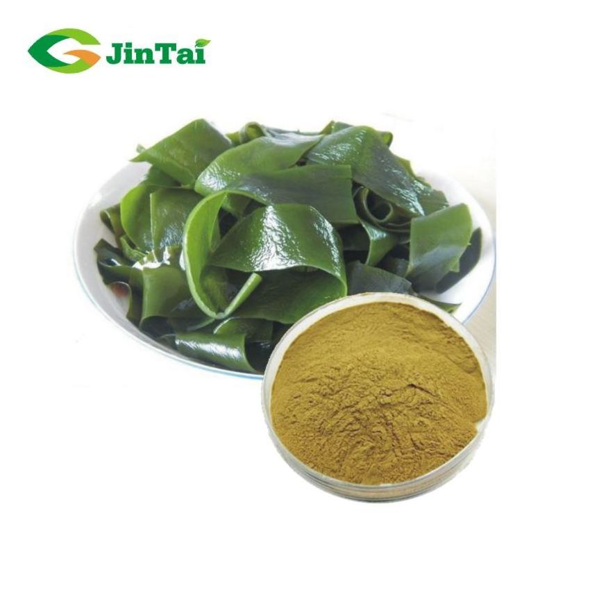 wakame kelp extract green spirulina red brown black algae brown seaweed extract powder fucoxanthin laminarin fucoidan