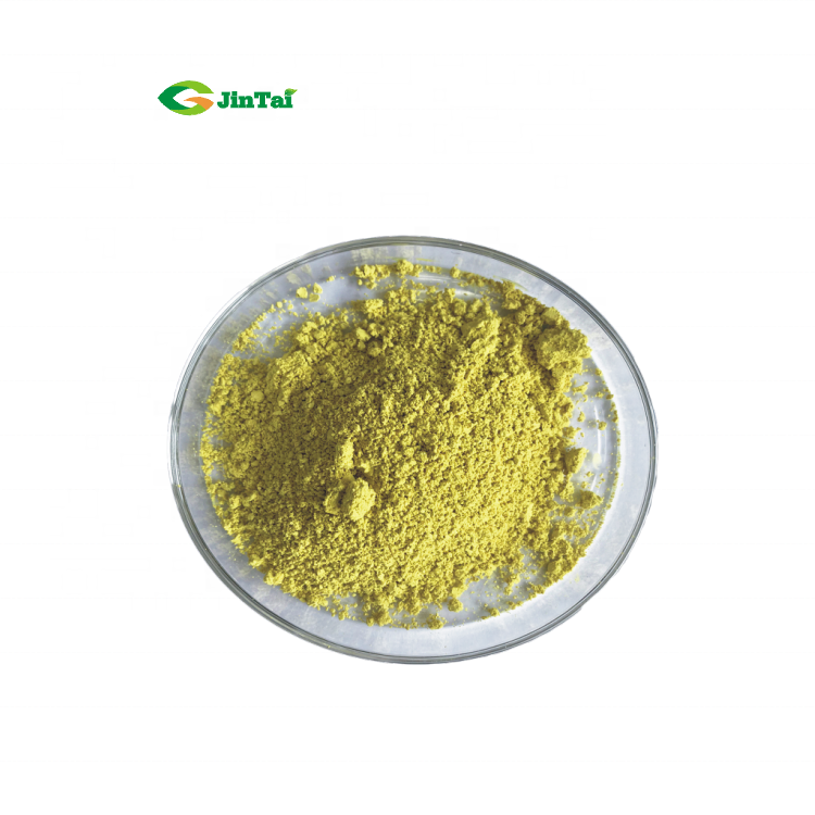 plant extract sophora japonica extract powder quercetin dihydrate quercetin 98% quercetin supplement sophora japonica extract