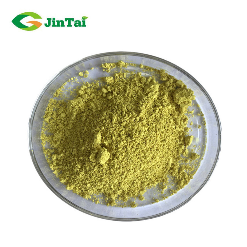 plant extract sophora japonica extract powder quercetin dihydrate quercetin 98% quercetin supplement sophora japonica extract