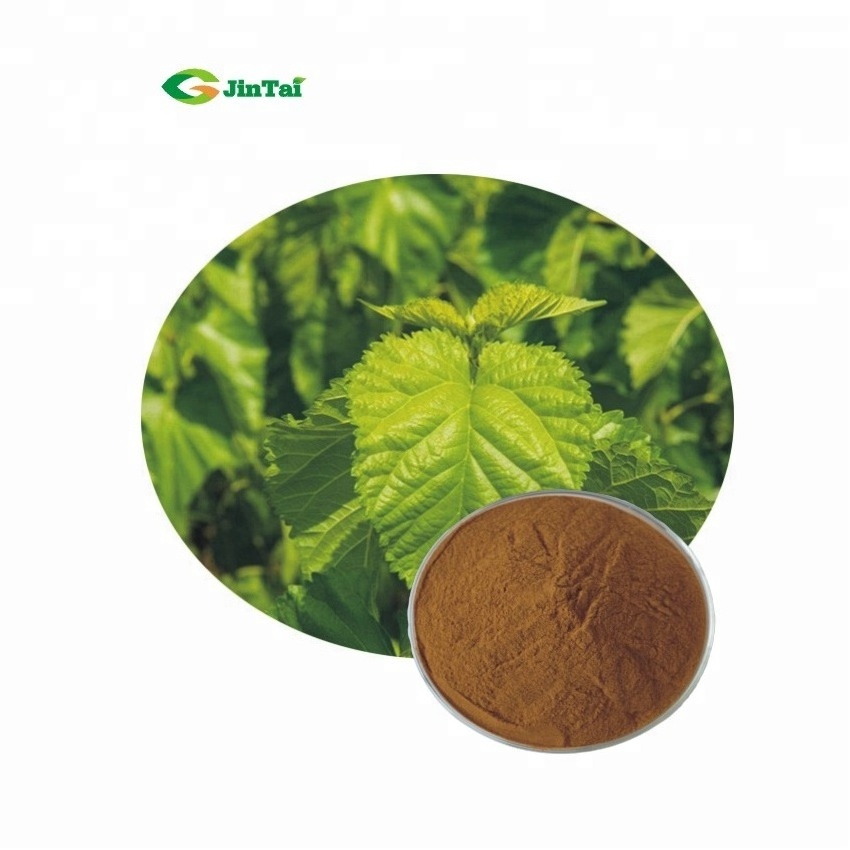 white mulberry leaf extract deoxynojirimycin mulberry liquid extract powder white dnj mulberry leaf extract powder