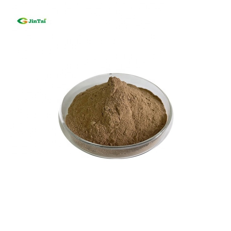 high quality shitake mushroom powder shiitake mushroom extract powder