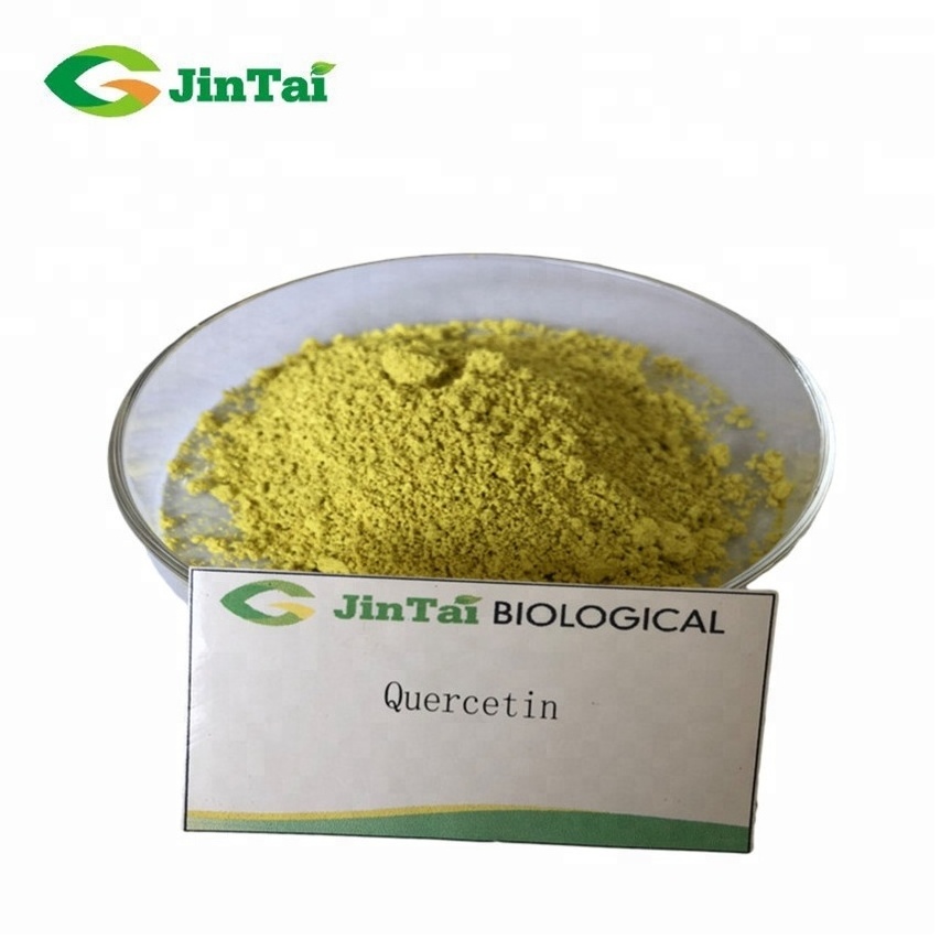 plant extract sophora japonica extract powder quercetin dihydrate quercetin 98% quercetin supplement sophora japonica extract