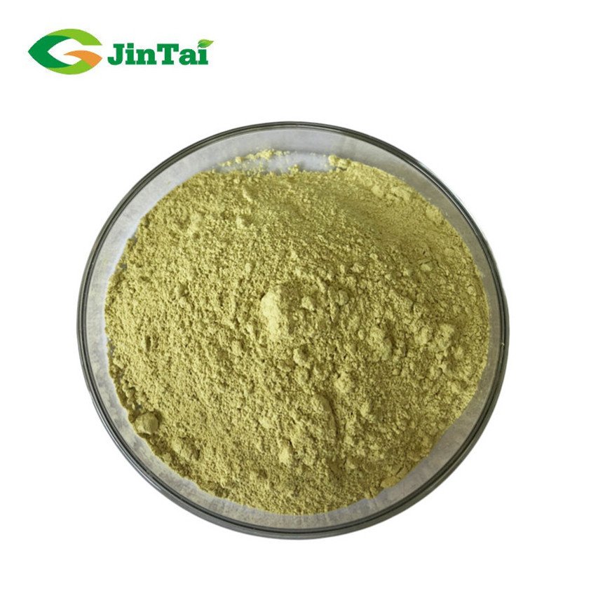 sophora japonica flower seed pod extract powder 98% rutin powder extract rutin nf11 99% sophora japonica extract