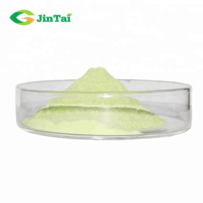 Freeze Dried Cucumber Powder Cucumber extract Cucumber juice powder