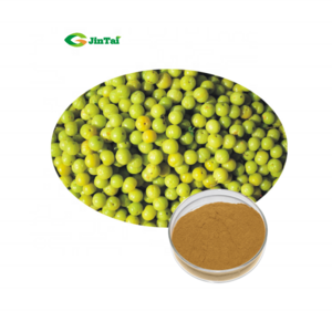 Amla Extract Powder 10:1 Phyllanthus Emblica Extract Yu Gan Zi extract