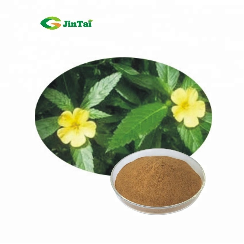 damiana leaf extract powder bulk Turnera diffusa extract damiana extract powder