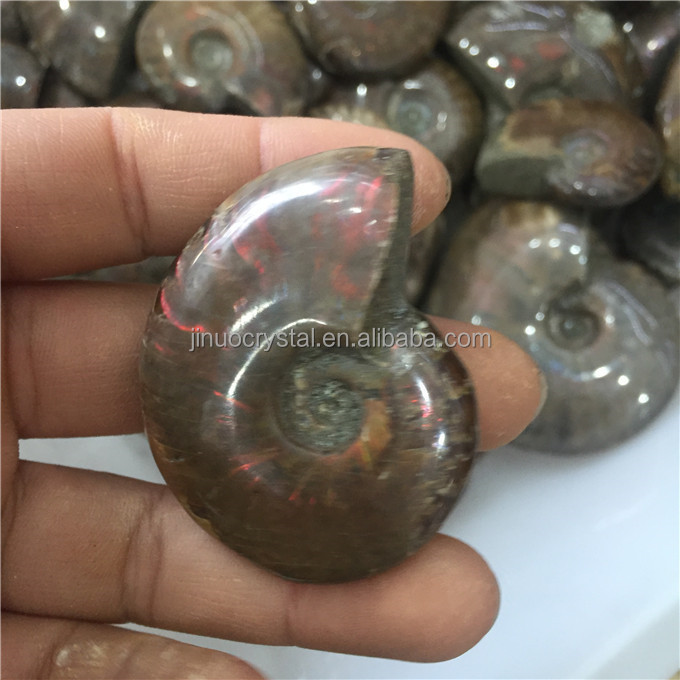 Natural Cheap Price Ammonite Fossil Stone Rainbow Ammonite Fossil for sale