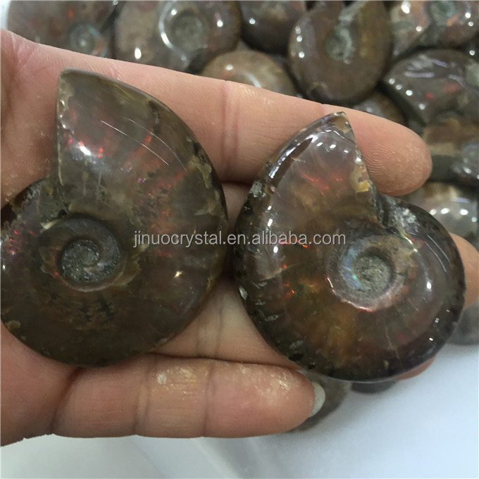 Natural Cheap Price Ammonite Fossil Stone Rainbow Ammonite Fossil for sale