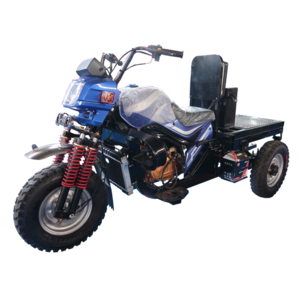 Jinwang New Style Mining Tricycle Three Wheel Motorcycle