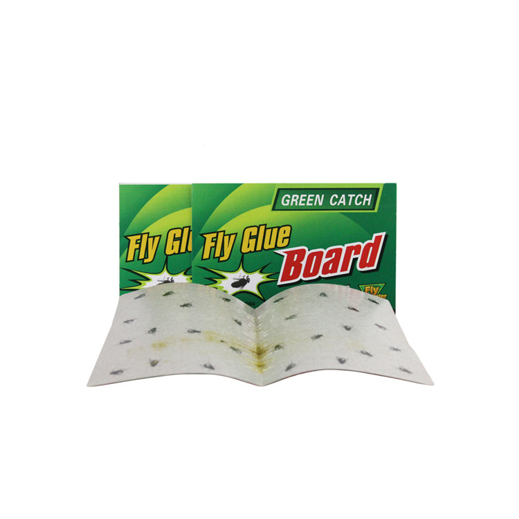 Best selling cheap price catch fruit fly glue trap sticky fly paper