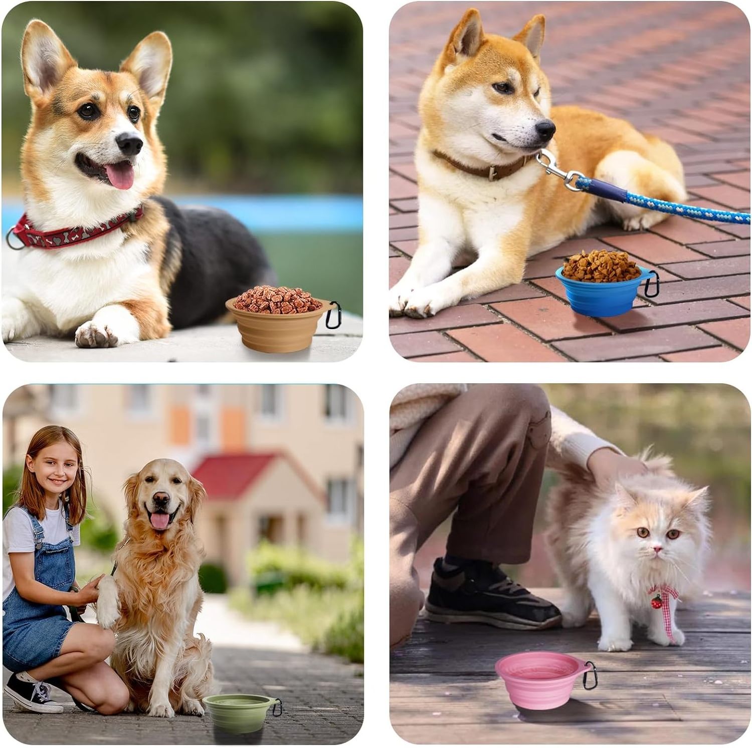 collapsible silicone dog bowl collapsible dog bowl branded