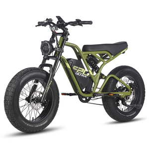 New model Fafrees F20 Ultra Fat tire ebike 750W  motor 25Ah Brand battery electric mountain bike  road electric motorcycle