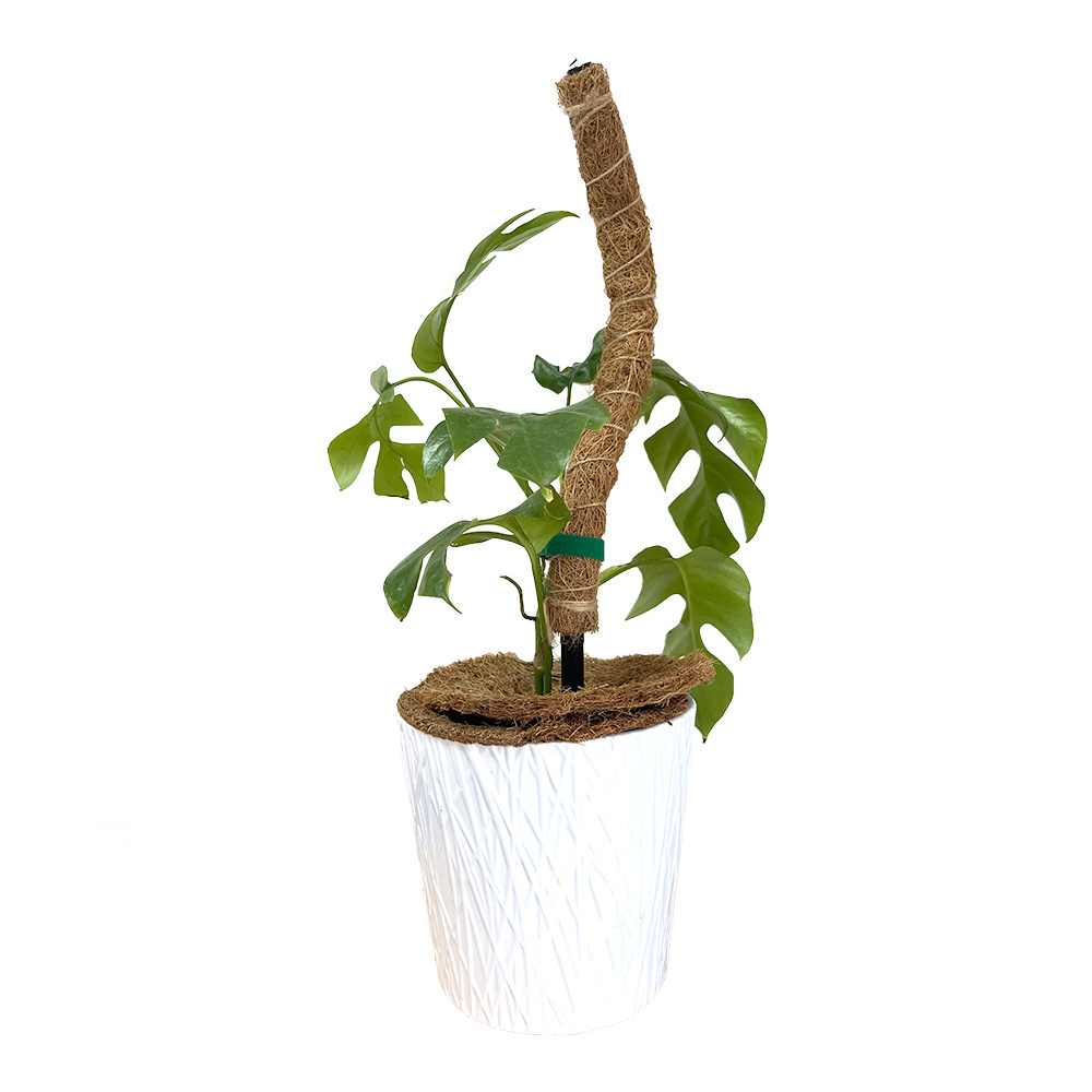 The 17-inch natural coconut fiber bending climbing pole can change the shape of the plant support pole coir stick