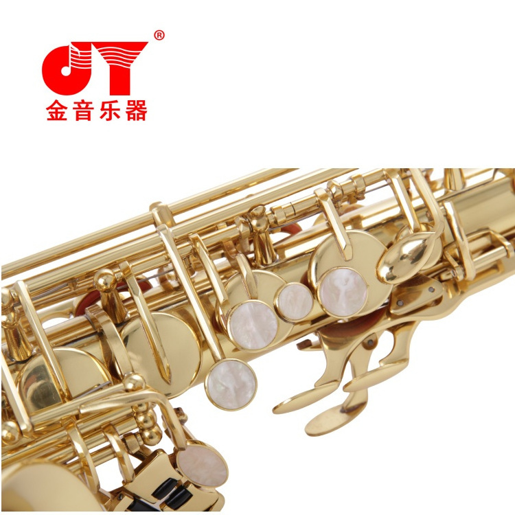 Nickel Plated Alto Saxophone Factory Direct Sale with Cheap Price Sax With a Carved Pattern