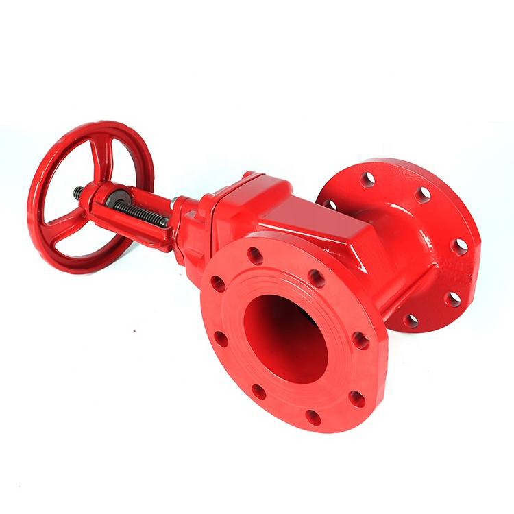 High Quality 20 bar Rising Stem Resilient Seated Gate Valve DN250 non-return Swing Check Valve