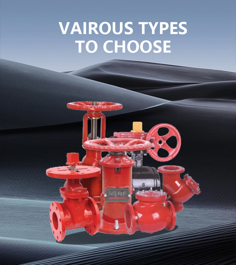 High Quality 20 bar Rising Stem Resilient Seated Gate Valve DN250 non-return Swing Check Valve