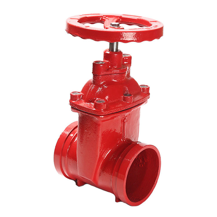 High Quality 20 bar Rising Stem Resilient Seated Gate Valve DN250 non-return Swing Check Valve