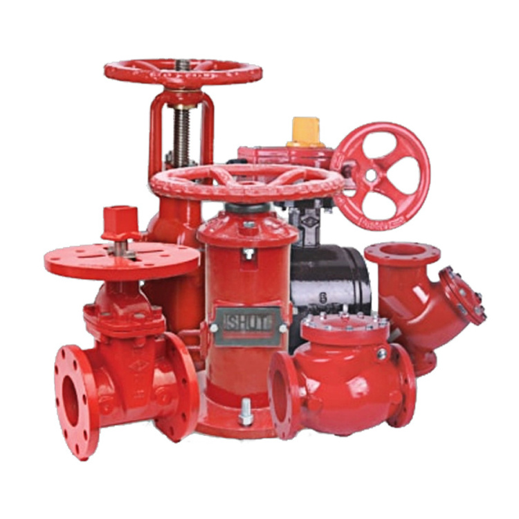 High Quality 20 bar Rising Stem Resilient Seated Gate Valve DN250 non-return Swing Check Valve