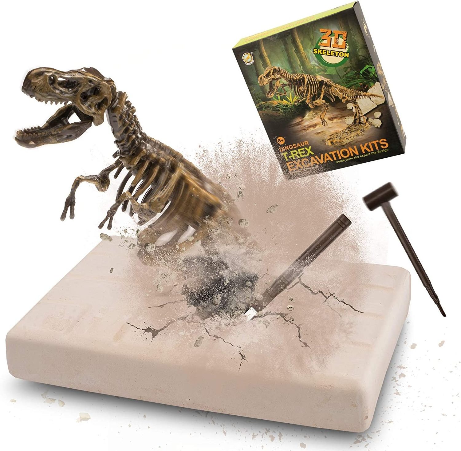 Dig Up Dinosaurs Skeleton Set Dinosaur Digging Fossil Kit Model Toys Educational Realistic Toys for Kids Boys Girls