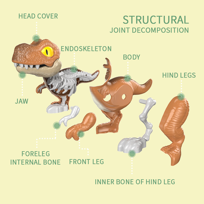 DIY Self-assembled 3D Dino Puzzle Figures Realistic Assembly Dinosaur Skeleton Take Apart Toy for Kids