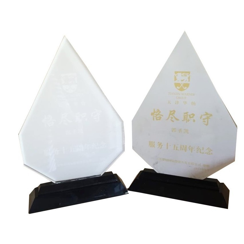 customized blank acrylic trophy award